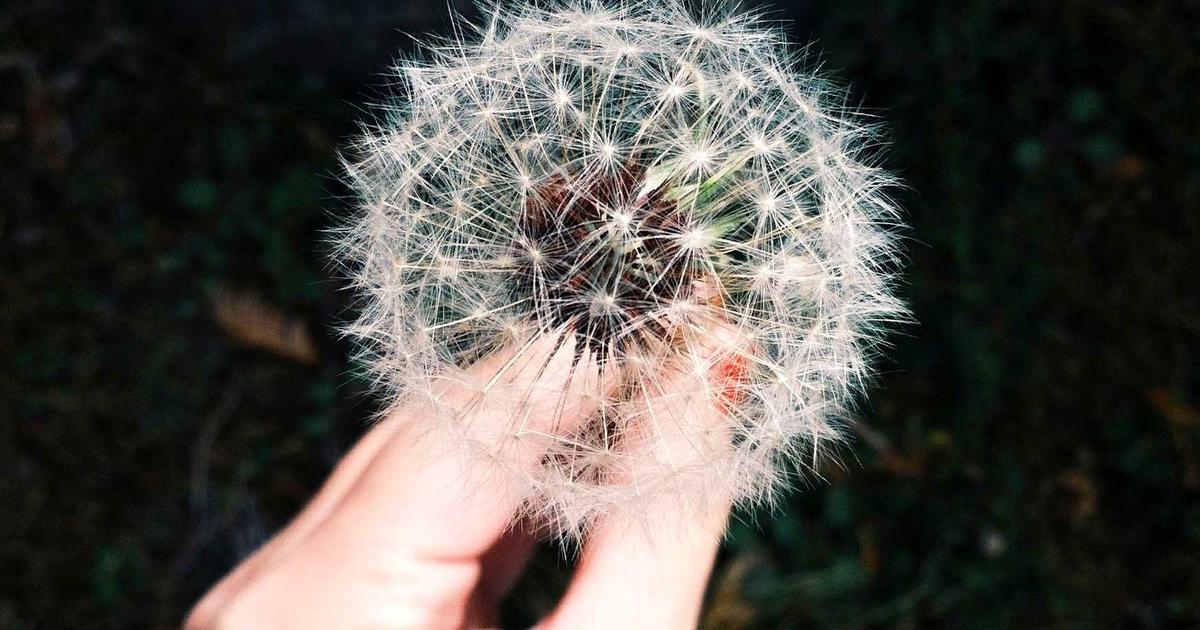 Featured: How Autonomous Vehicles Use AI to Navigate Complex Environments