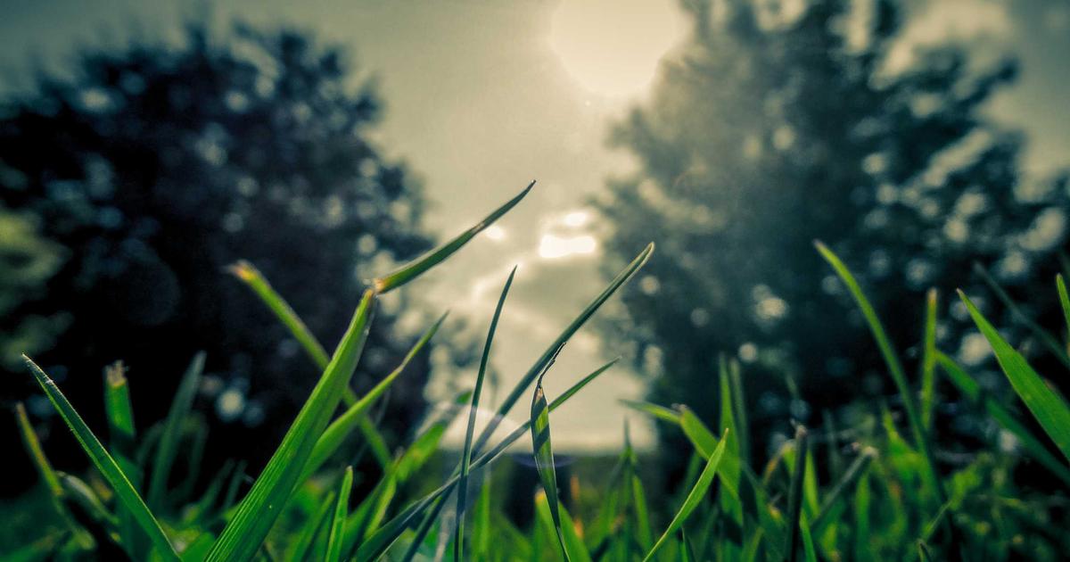 Featured: The Future of AI Regulation: Global Policies Taking Shape in 2026