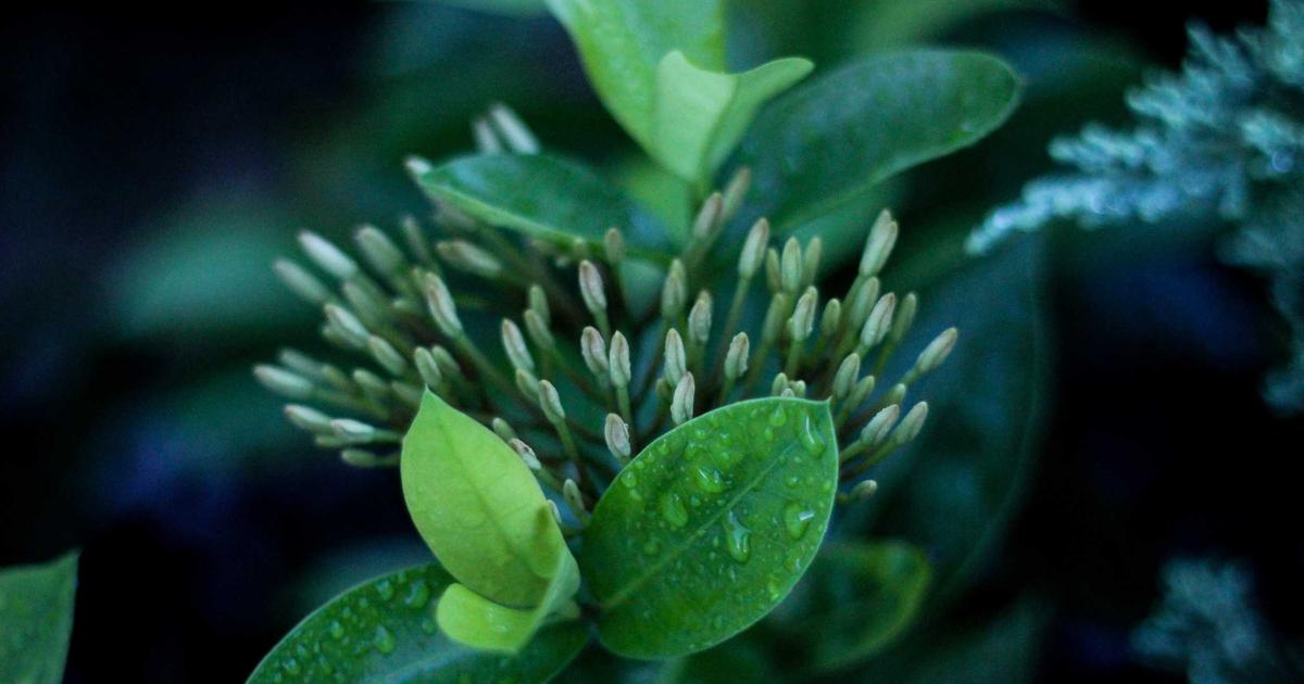 Featured: Understanding AI Hallucinations: Why Language Models Make Things Up