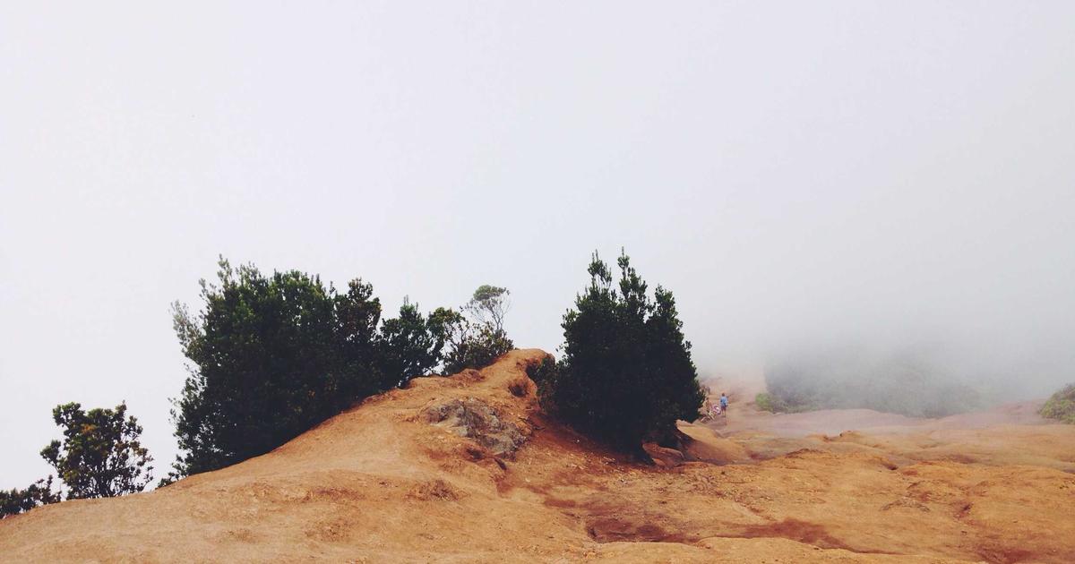 Featured: Reinforcement Learning in Robotics: From Simulation to Reality