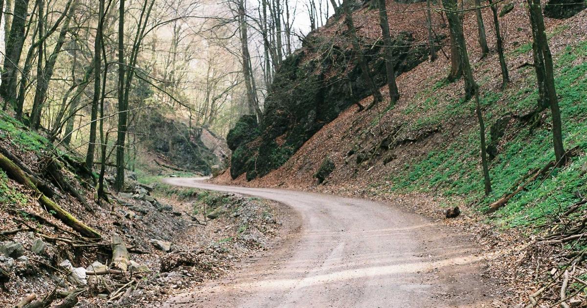 AI Agents: The Next Frontier Beyond Chatbots