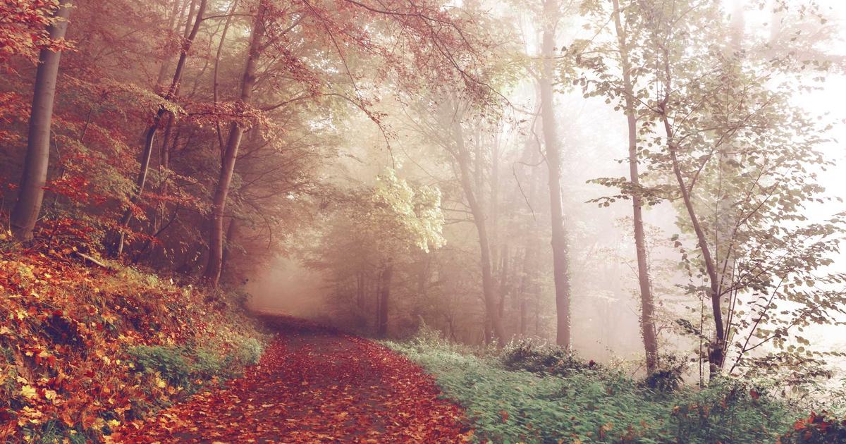 Featured: AI in Financial Trading: Algorithmic Strategies and Risk Management