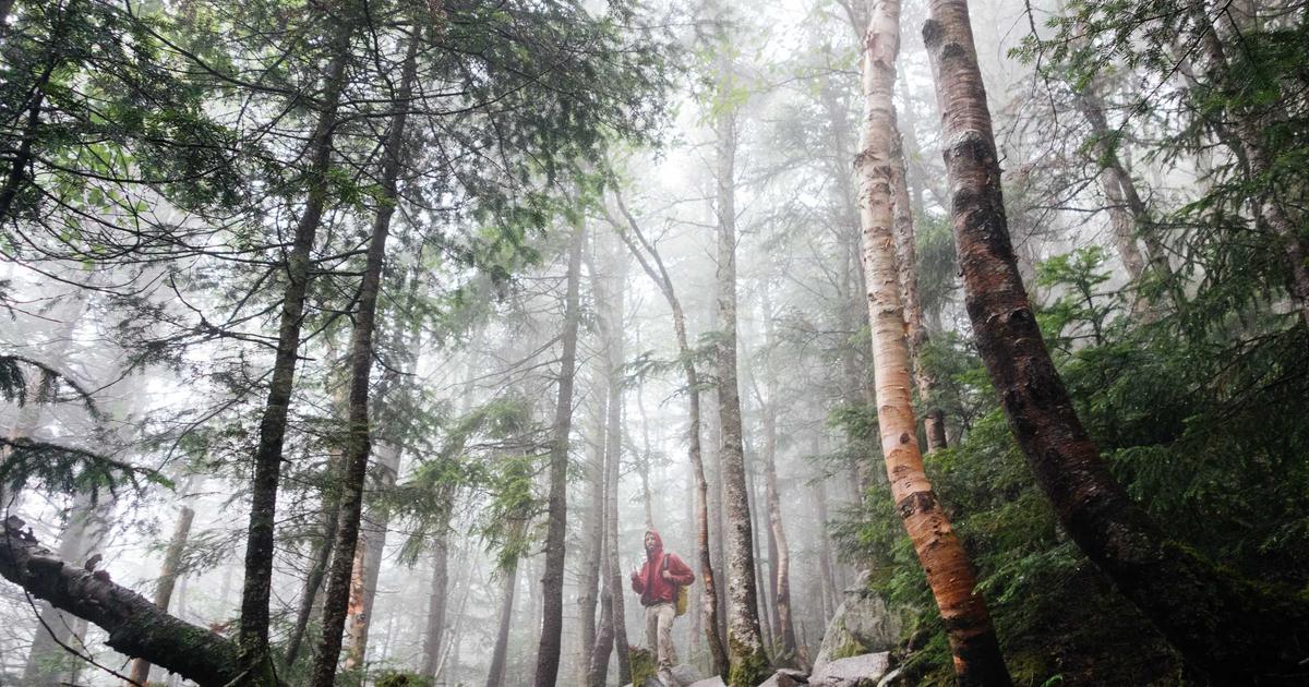 Featured: Building Your First Machine Learning Pipeline: A Step-by-Step Tutorial