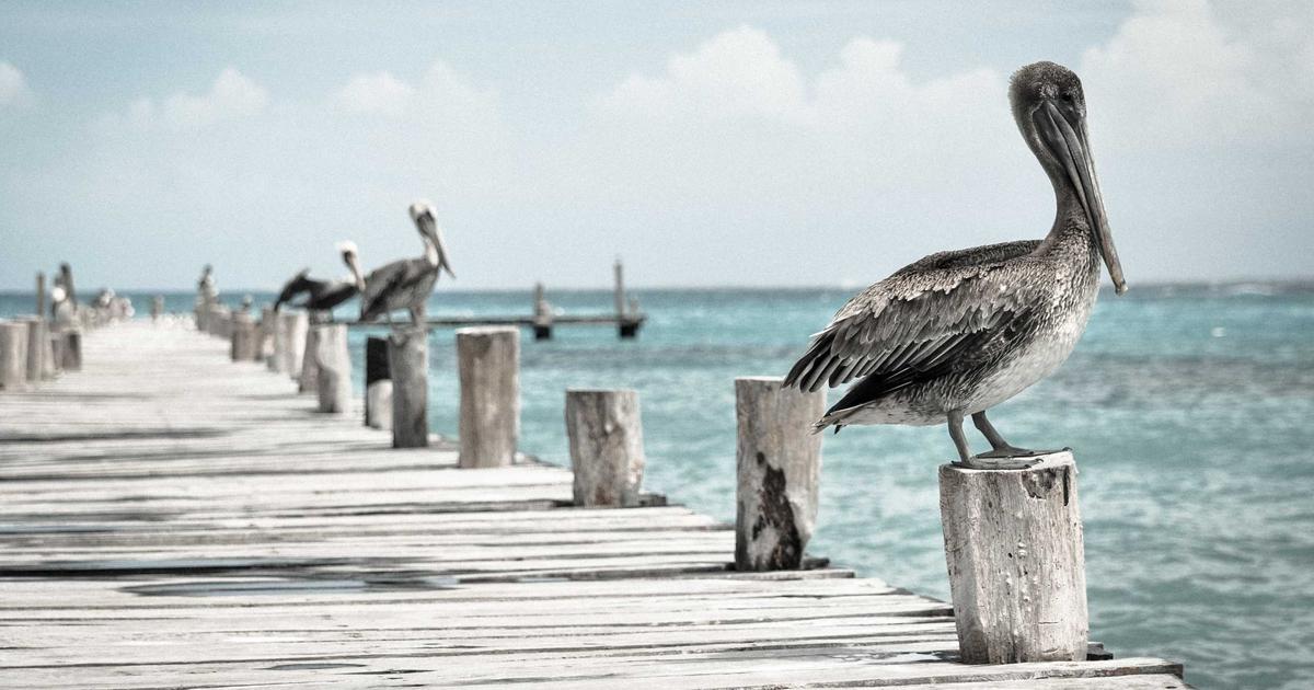 Featured: AI Recommendation Systems That Actually Work: Why Spotify Gets It Right While Netflix Struggles